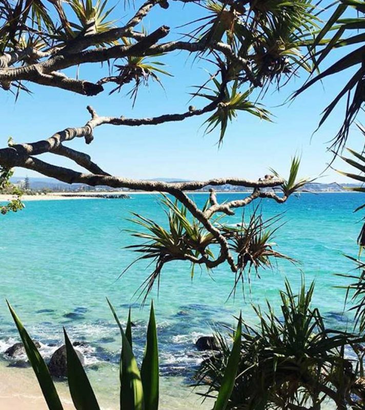 Gold Coast Holiday Homes Gold Coast Holiday Letting